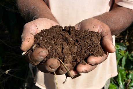Agroecologia é terra fértil. Guaií - Cooperativa Camponesa (Foto: DoDesign-s)