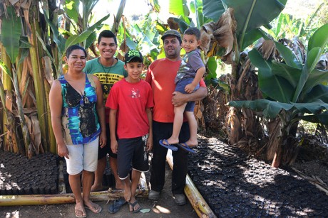 Agricultura Familiar. Guaií - Cooperativa Camponesa (Foto: DoDesign-s)
